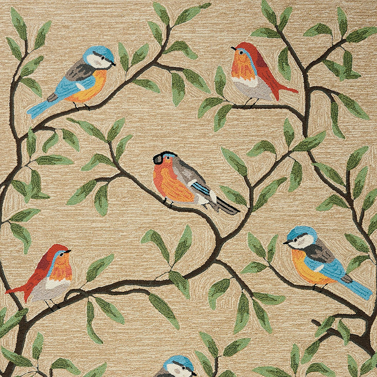 Songbird Hand Tufted Outdoor Rug - 3'6" X 5'6" - Grandin Road