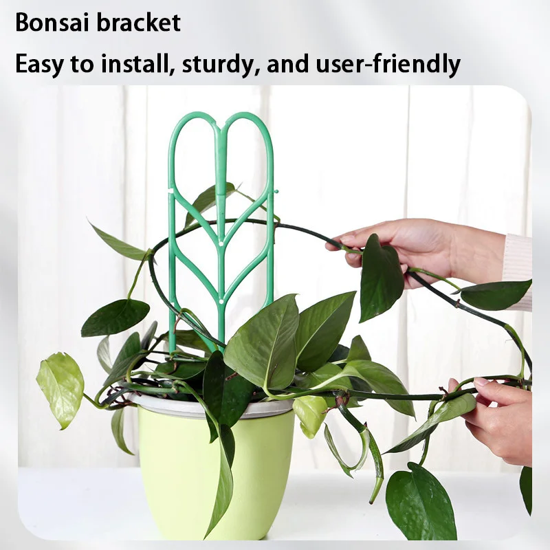 10 Stück Pflanzenstützständer für Kaktusschläger, Klettern, Tomaten und Erdbeeren, feste Stange, Kunststoff, Topfblumen, Balkon, Garten Image