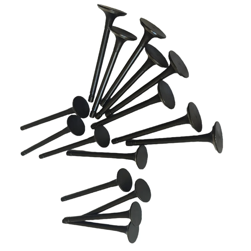 JAC M5 T6 T8 X200 Chine V 4DB2-1D1 Soupape D'admission 8 Pièces und Valve D'échappement 8 Pièces 1003014FD040 1003015FD020 Image