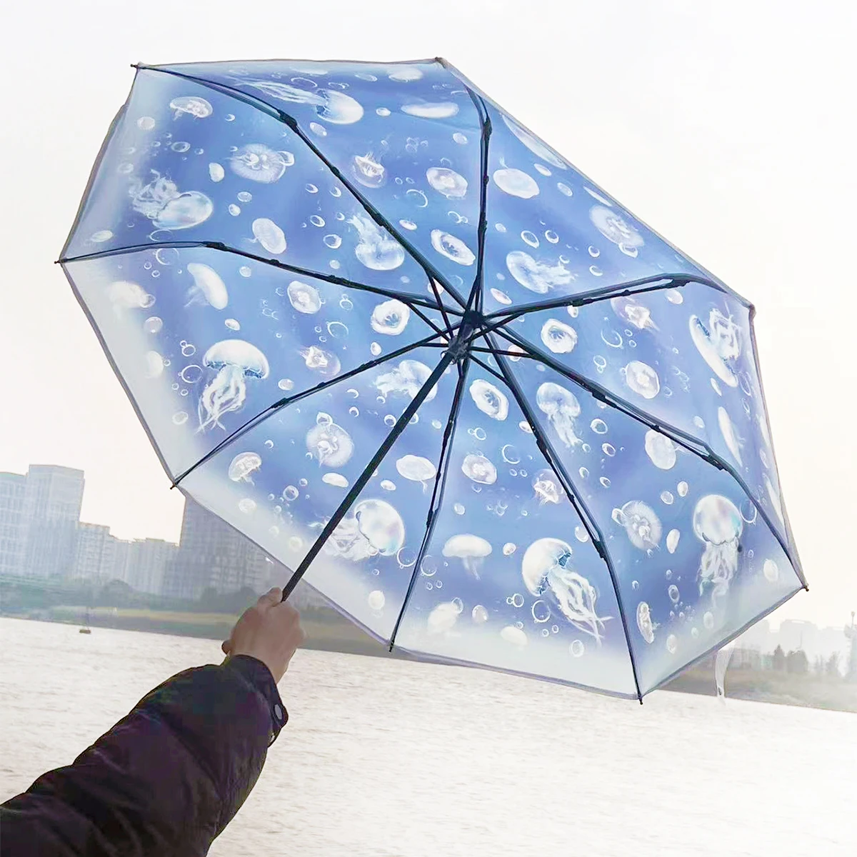 Koreanischer Klappschirm, niedlicher koreanischer Mini-Frisch-einfacher Waldserie, dreifach gefaltete Qualle, transparenter japanischer Regenschirm Image