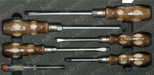 SWSTAHL Werkzeugmodul Z2533-13 Image