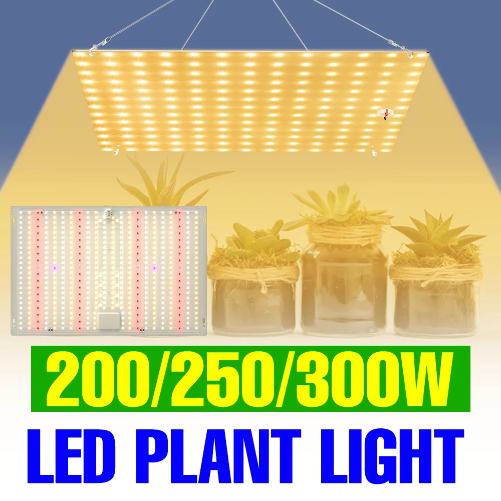 300W LED Vollspektrum Pflanzenlampe 220V Quantum Board Wachstumslampe 110V Gewächshaus Innenbeleuchtung für Gemüse und Topfpflanzen
