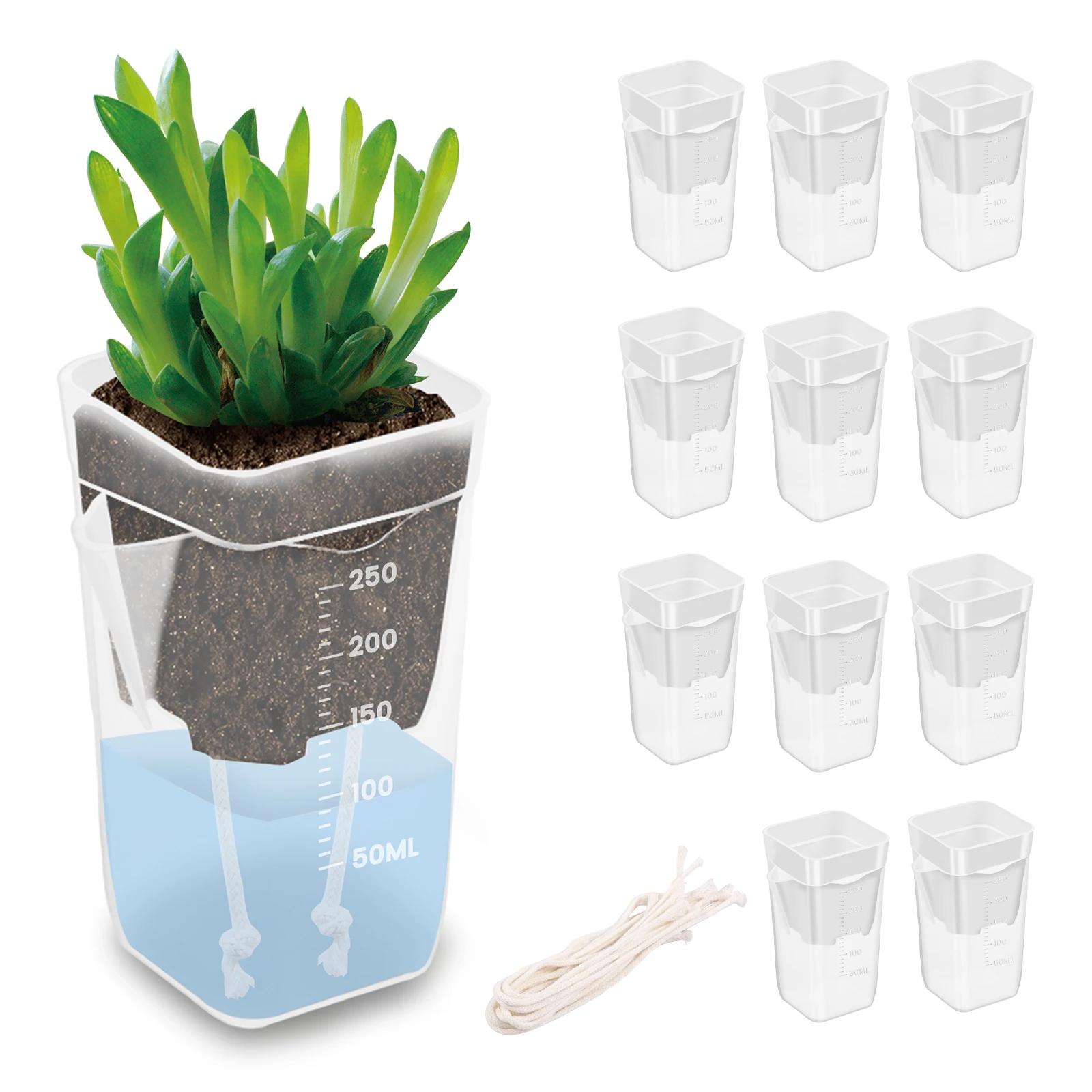 12 Stück Selbstbewässernder Blumentopf Transparent Doppelschichtig aus Kunststoff mit Drainagelöchern Baumwollseil-Bewässerung Kleiner Anzuchttopf Image