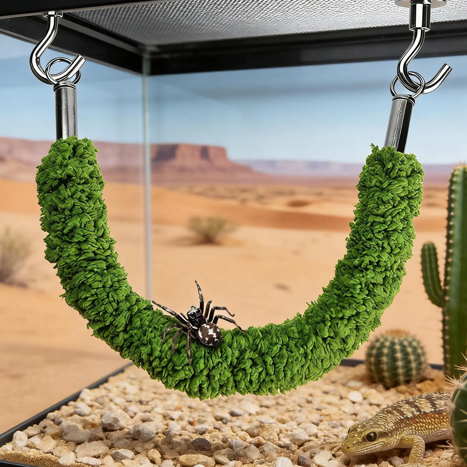 Kletterbrücke für Springspinnen und Einsiedlerkrabben, Schaukel für Spinnen/Geckos, Kletterleiter für Terrarium Image
