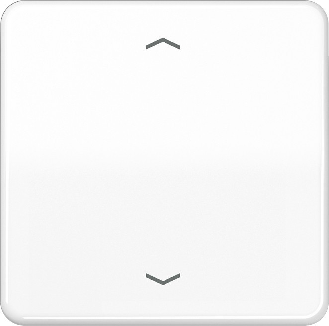 Jung Wippe Symbole aws CD 590 P WW CD590PWW Image