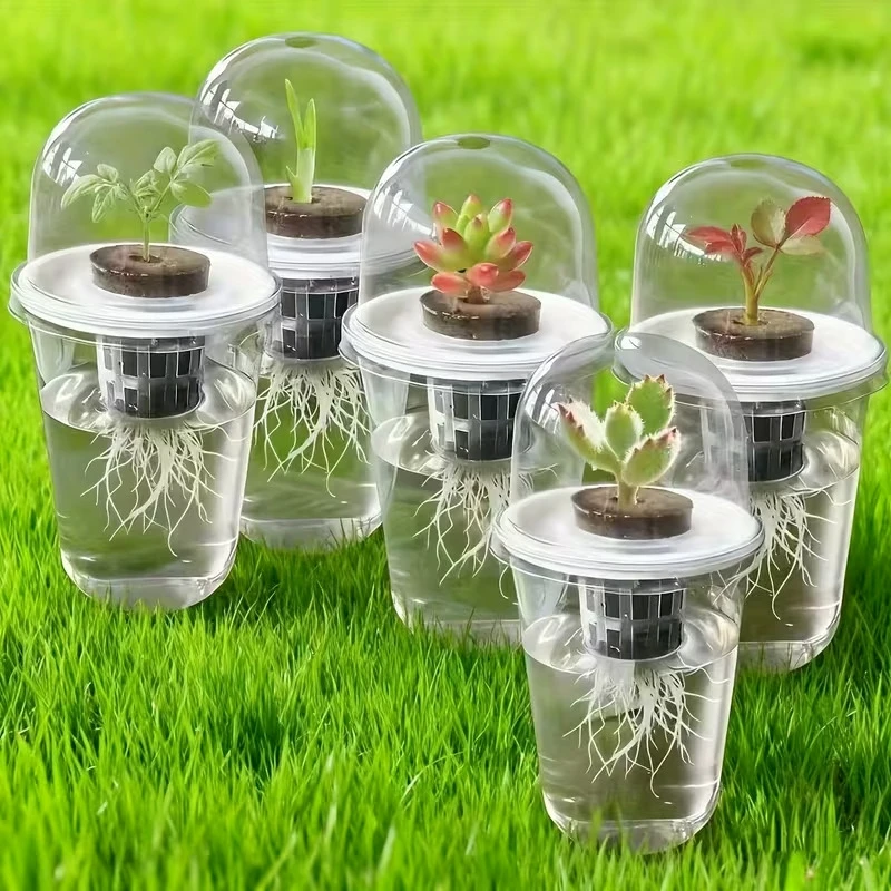 5 Stück Sichtbare Pflanzenkeimungsbecher Transparente Kunststoff-Anzuchtboxen Indoor-Garten Gewächshaus Saatgut-Starter-Set Image