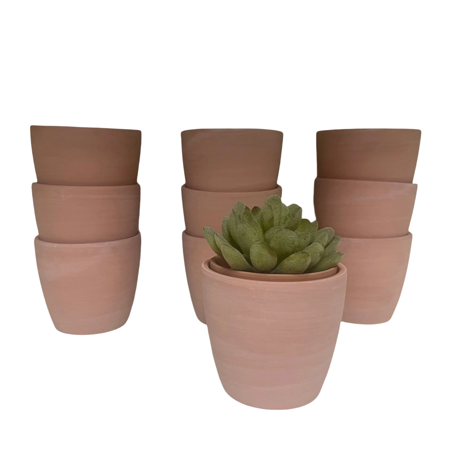 10 Stück Packung eiförmige Terrakotta-Töpfe, 7,6 cm große Pflanztöpfe aus rotem Ton mit NICHT Entwässerung. Sukkulenten-Pflanzgefäß aus Keramik, für den Garten Image