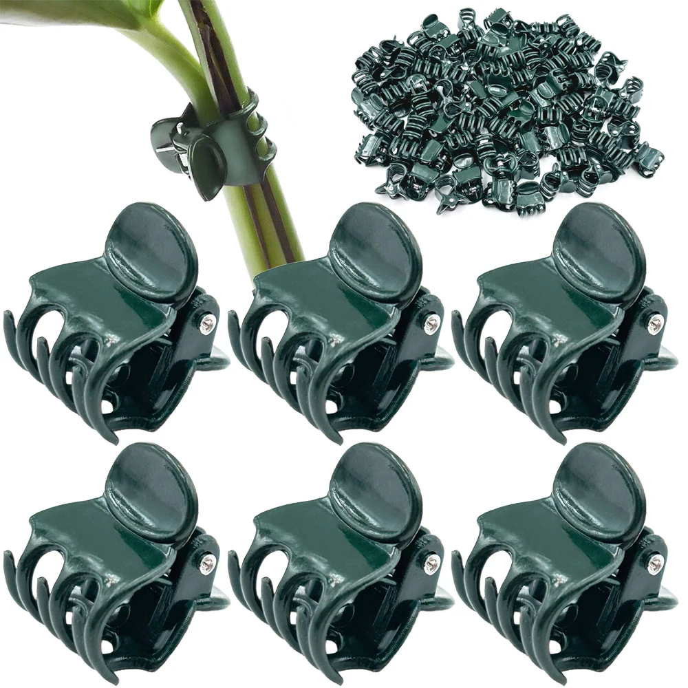 100 Stück Gartenpflanzen-Clips, Kunststoff-Stütz-Orchideen-Stiel-Clip für Weinreben, Gemüse, Blumen gebunden, Bündel, Zweig, Klemmung, Gartenwerkzeug Image