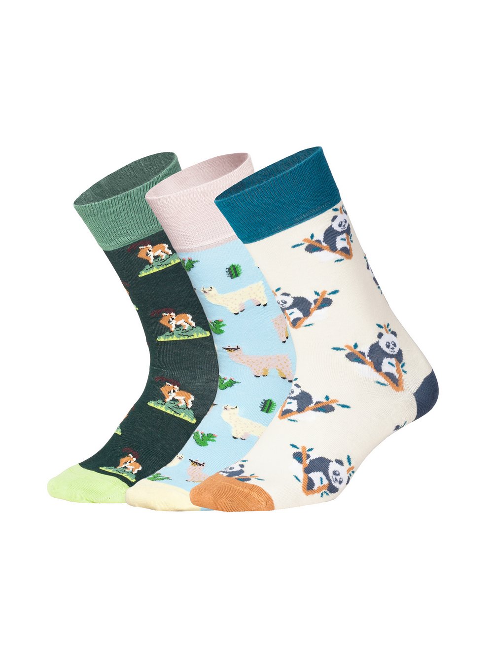 DillySocks Socken Damen mehrfarbig, 41-46 Image