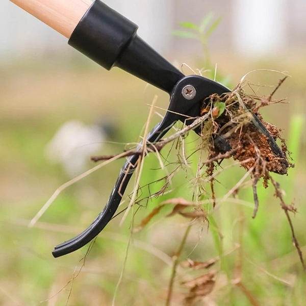 Stand Up Weed Puller Tool For Garden Rust Proof Weed Root Remover With Comfortable Handle Stand Up Weed Puller Tool For Garden Rust Proof Weed Root Remover With Comfortable Handle