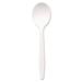 Dixie Mediumweight Plastic Disposable Soup Spoons in White | Wayfair DXEPSM21
