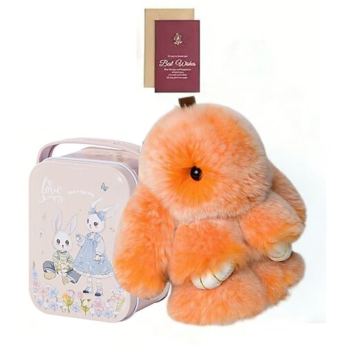 Hasen-Schlüsselanhänger mit Dose, niedlicher Osterhasen-Plüsch-Schlüsselanhänger mit Karte, handgefertigte, weiche Plüschhasen-Anhänger, Ostergeschenk, süßer Ostergeschenk-Schlüsselanhänger für Image