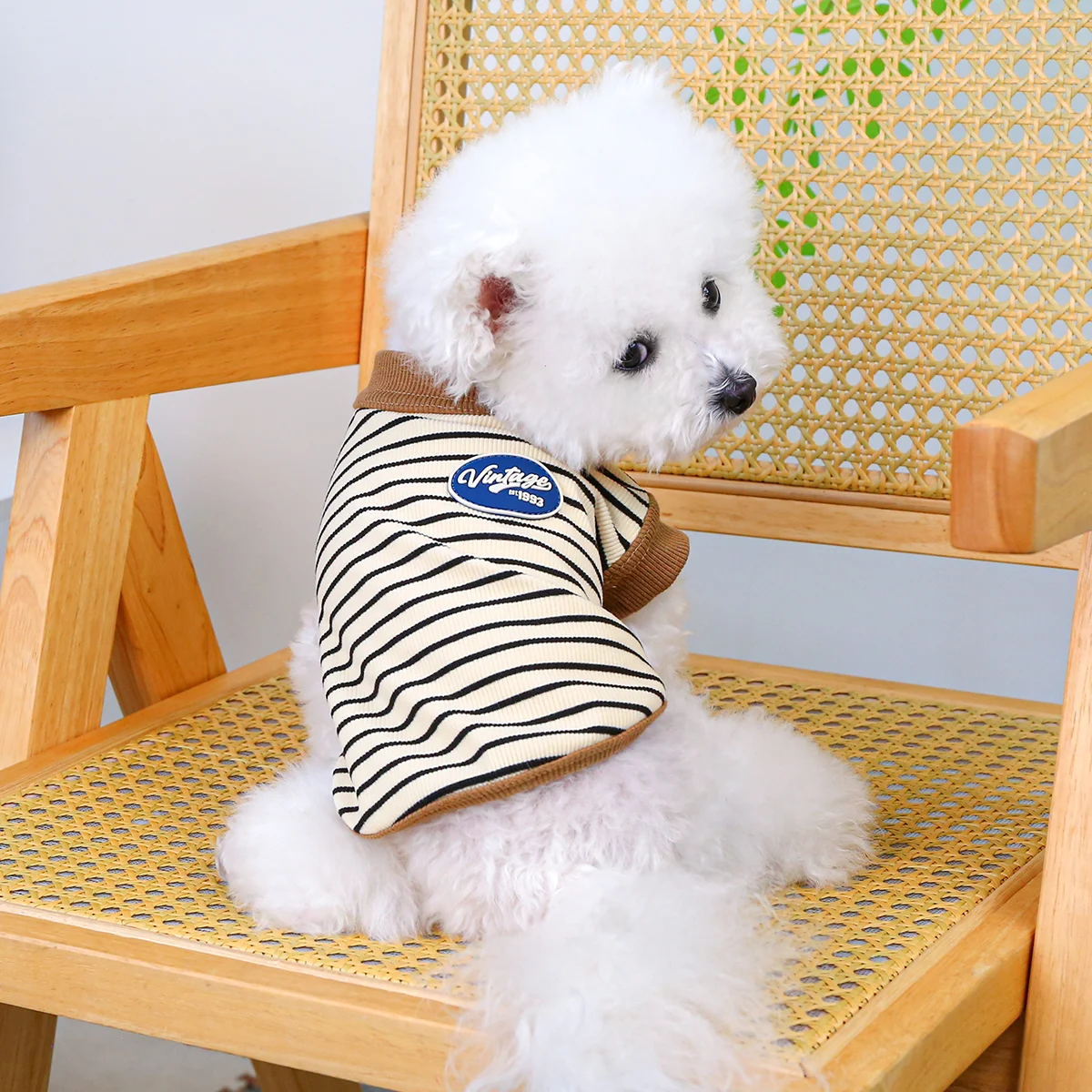 Vintage kleine Weste Haustierkleidung Hund Katze Anti-Haarausfall Sommer ärmellos Kaffee gestreift Pullover Image