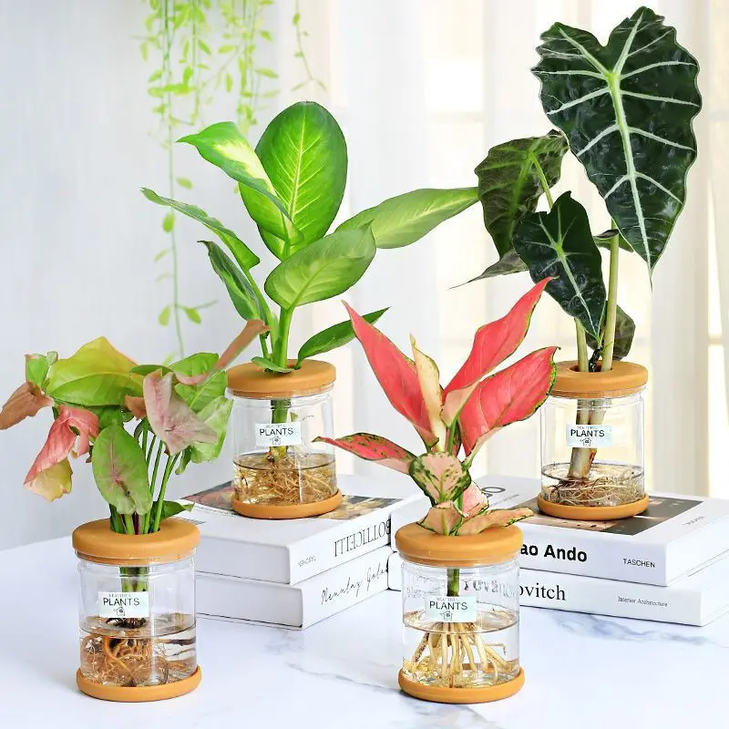 1 stücke Transparent nachahmung glas hydrokultur blumentöpfe harz blumentöpfe bruchsicher haushalt desktop kleine töpfe pflanztöpfe Image