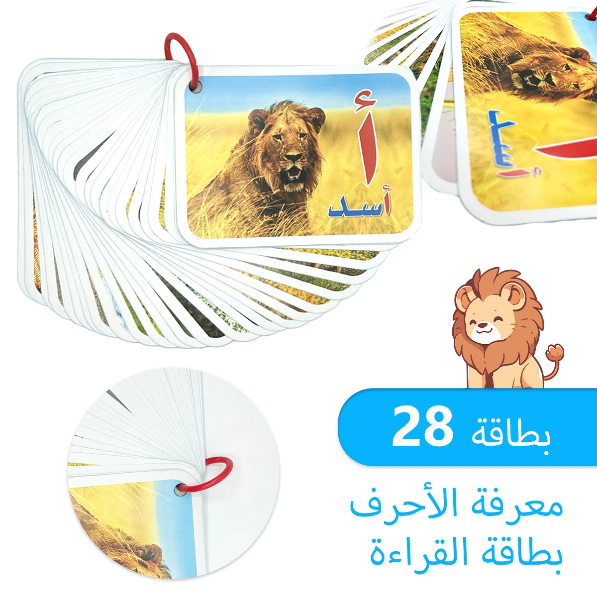 Ein Muss für die Schulanfangssaison! 28 Karteikarten mit arabischen Tierbuchstaben für die Früherziehung von Kindern Image