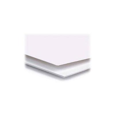Archival Methods 4-Ply Pearl White Conservation Mat Board (16 x 20