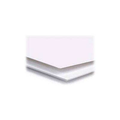 Archival Methods 4-Ply Conservation Mat Board (Pearl White, 16 x 20