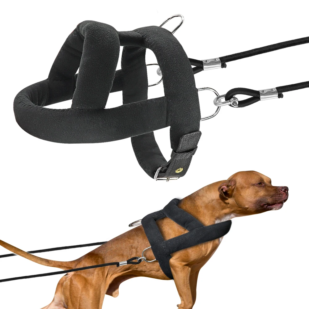 Hund Gewicht Ziehen Harness und Leine Weich Gepolsterte Hunde Rodeln Geschirre Mit Durable Blei Seil Pitbull Big Große Hunde Ausbildung Image