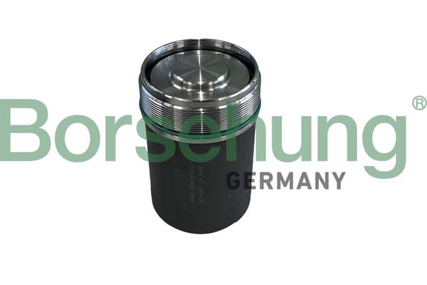 BORSEHUNG b10924 für VAG Image