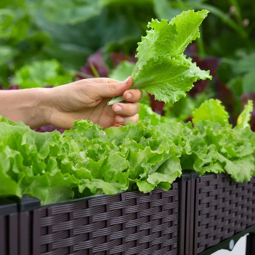 Kunststoff-Hochbeet mit Drainagelöchern Pflanzgefäß mit Beinen Hochbeet für Gartenarbeit Gemüse Früchte Blumen Kräuter Image