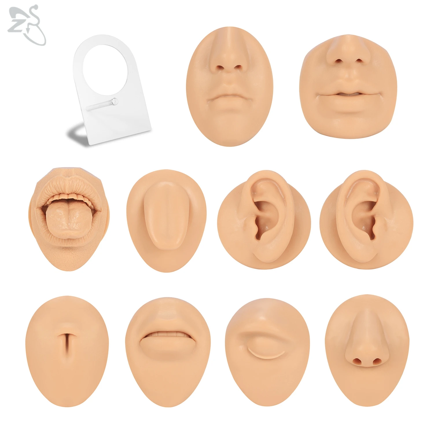 AOEDEJ 1-teiliges weiches, flexibles Silikon, fleischfarben, Modelle des menschlichen Körpers, Punktionsanzeige, Werkzeug zum Tragen von Nase, Ohr, Mund, Zunge Image