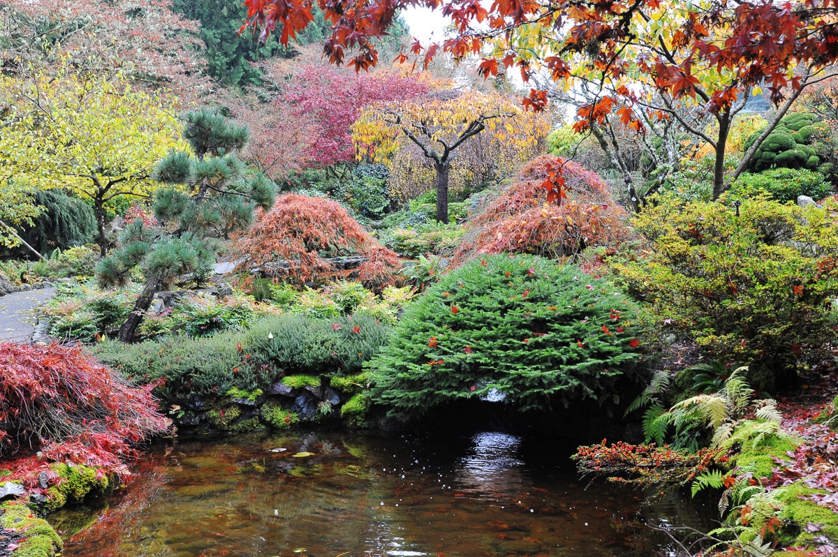 Fototapete PAPERMOON "Teich im Garten", bunt, B:4,5m L:2,8m, Vlies, Tapeten Image