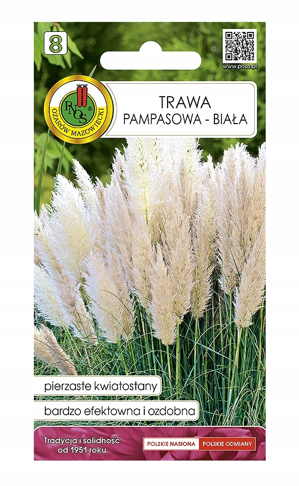 Pampasgras-Samen, groß, weiß, dekorativ für den Garten, 0,2 g, 1 Stk. Image