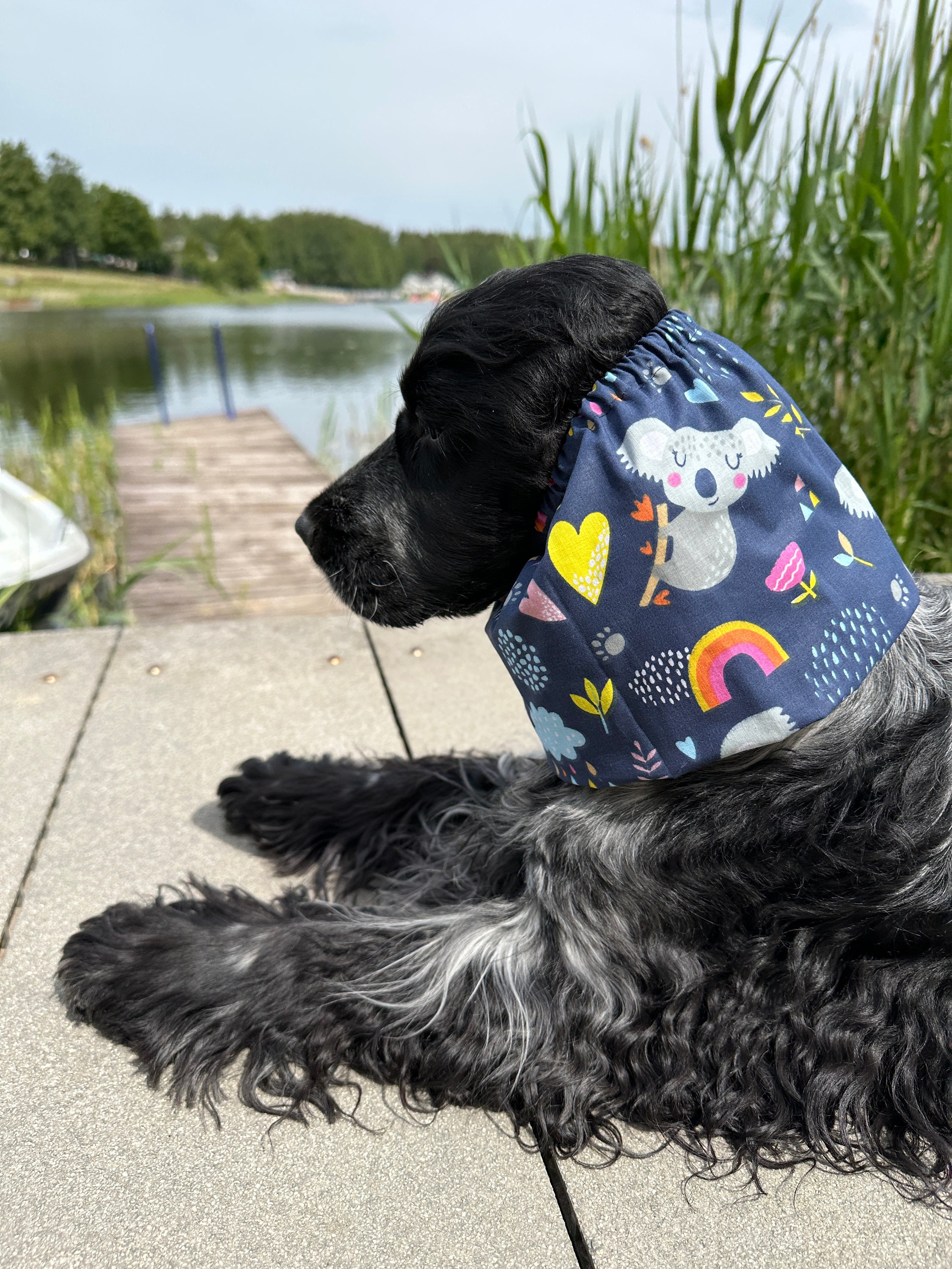 Snood per cani in cotone 'Koala' - Snood per cani dalle orecchie lunghe - Snood estivo per cani - Cocker Cavalier Basset Poodle snood - Spaniel snood