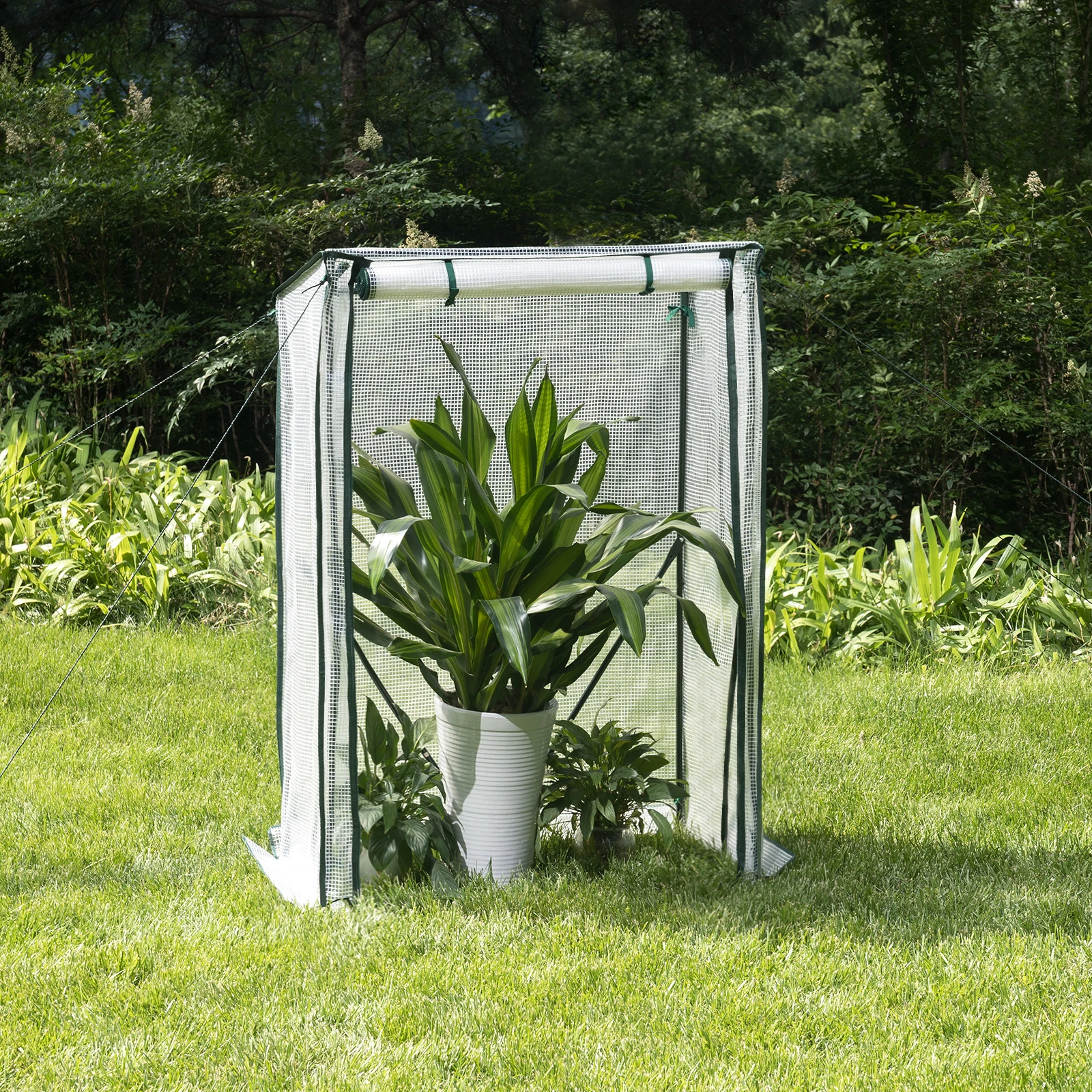 WOLTU Blumen- und Pflanzen-Gewächshaus, Gemüse-Hausgarten-Poly-Tomaten-Gewächshaus, Kältehütte, Garten-Wärmehaus, Outdoor-Zelt Image