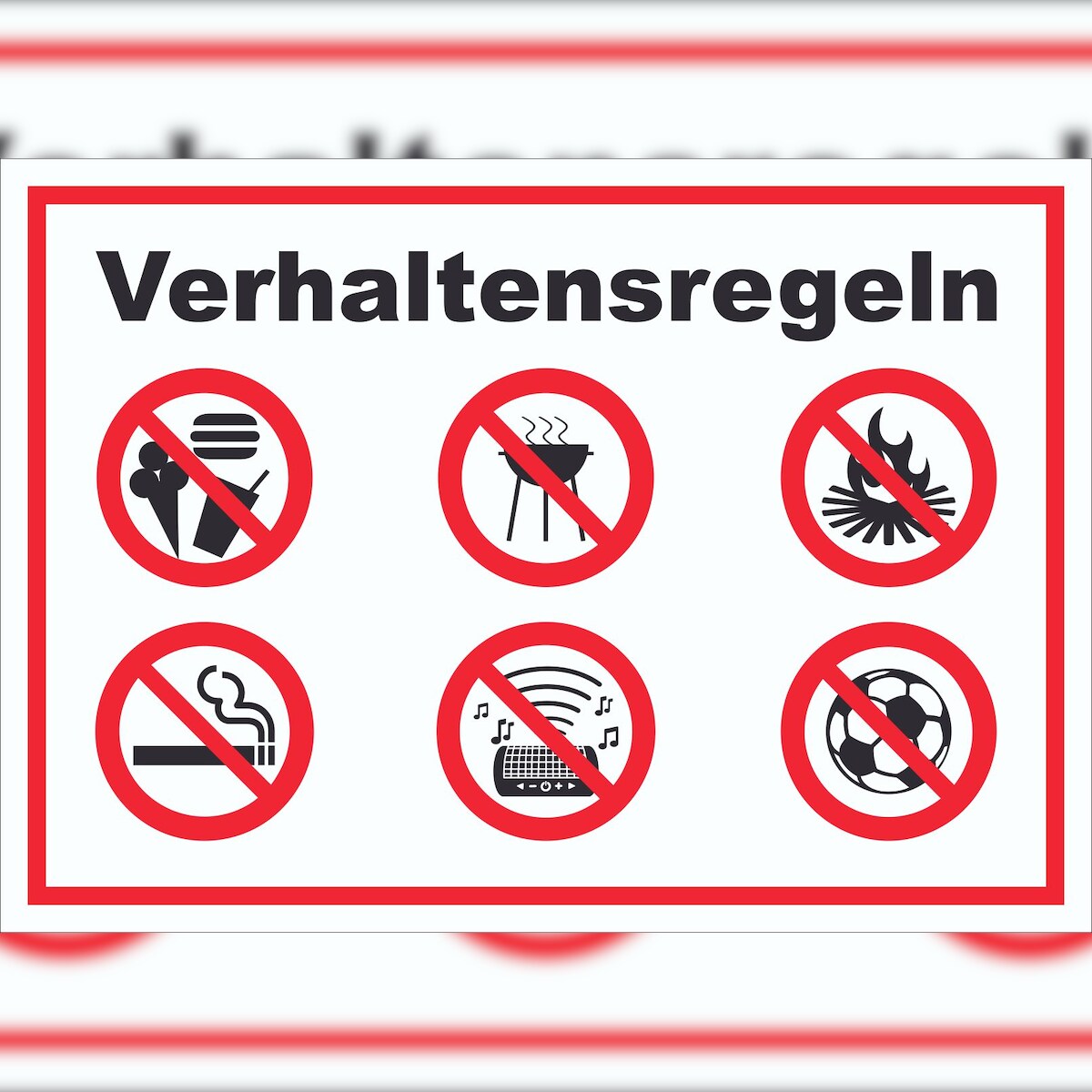 HB-Druck Schild Verhaltensregeln Verbote A2 (420x594mm) Image