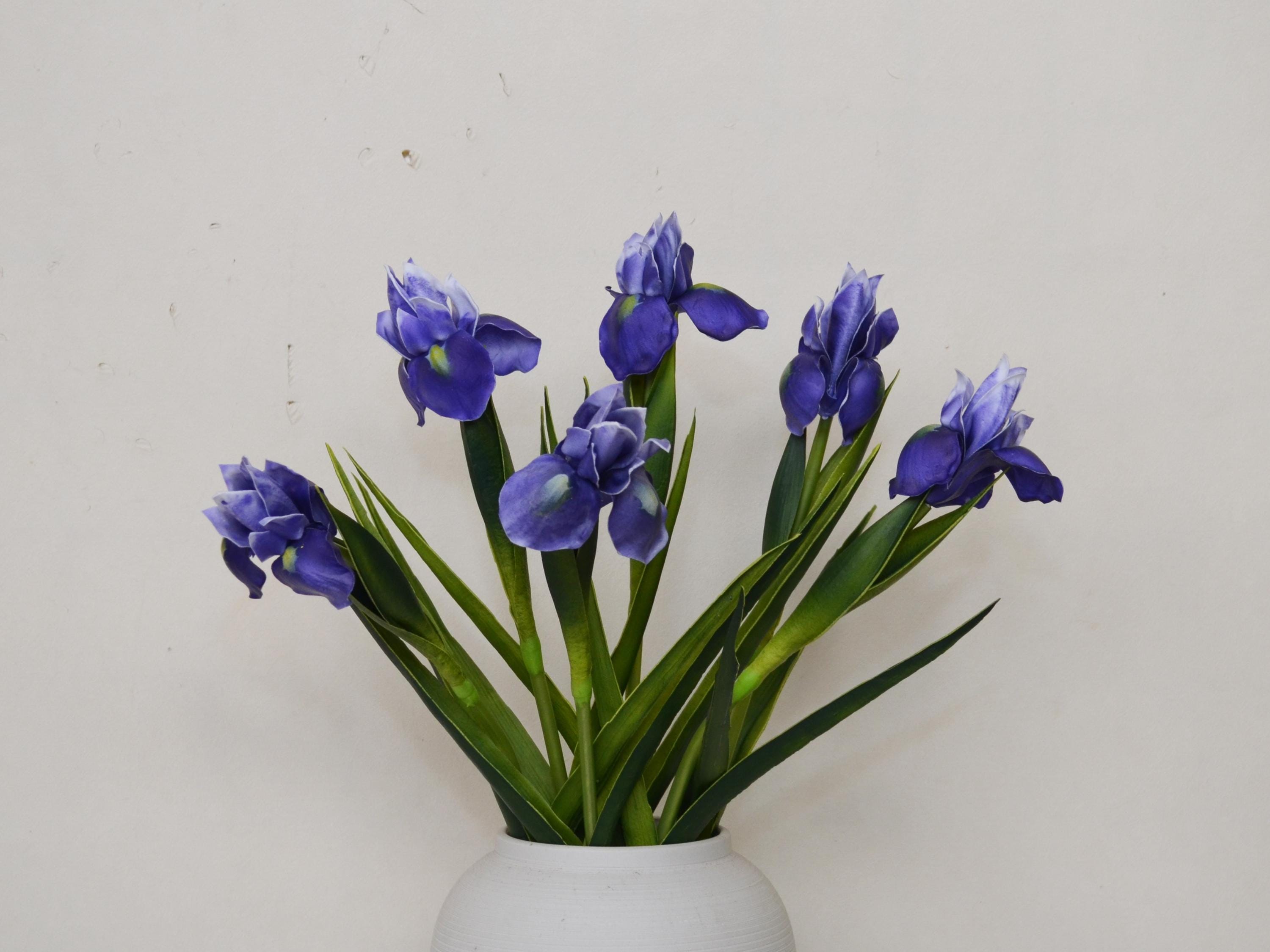 Iris artificiali con foglie, Iris Tectorum, Iris giapponese, fiori artificiali, fiori primaverili artificiali, Iris realistici, fiori in vaso, decoraz