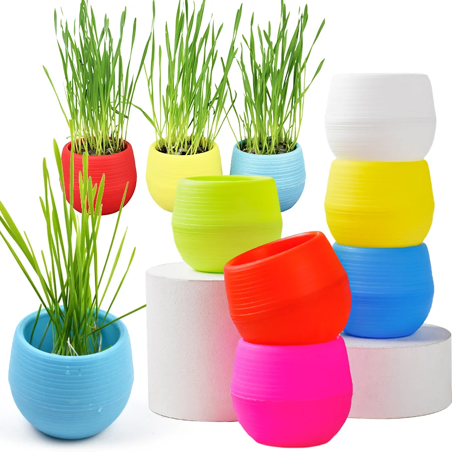 6/12 Stück Runde Mini-Blumentöpfe aus Netzstoff für Sukkulenten, Desktop-Blumentopf, Balkon-Innendekoration, Plastik-Ishimaru-Topf XJM Image
