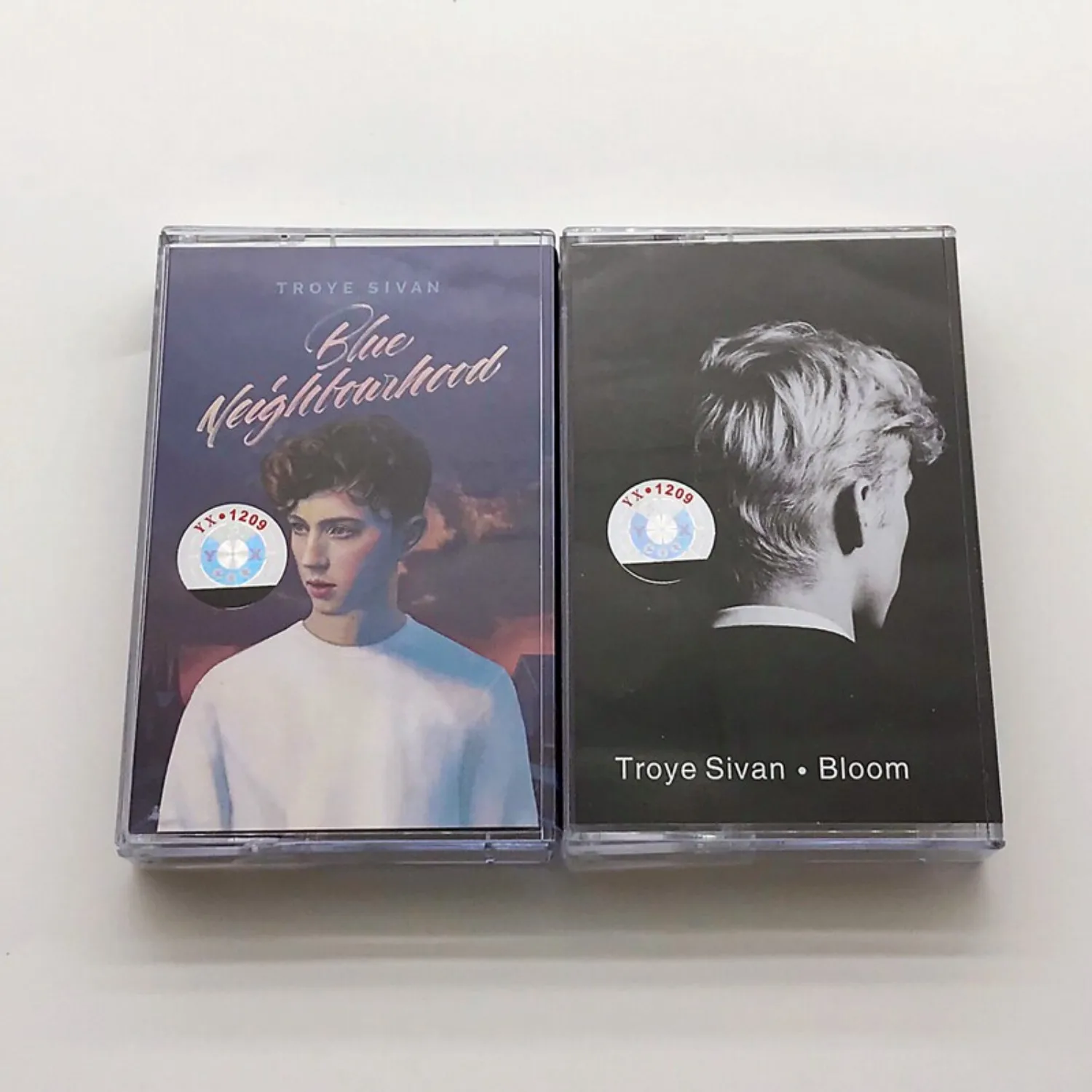Troye Sivan Blue Neighbourhood & Bloom Pop Electropop Audio-Kassetten Retro Vintage Analoger Klang Sammlerstück für Fans Image