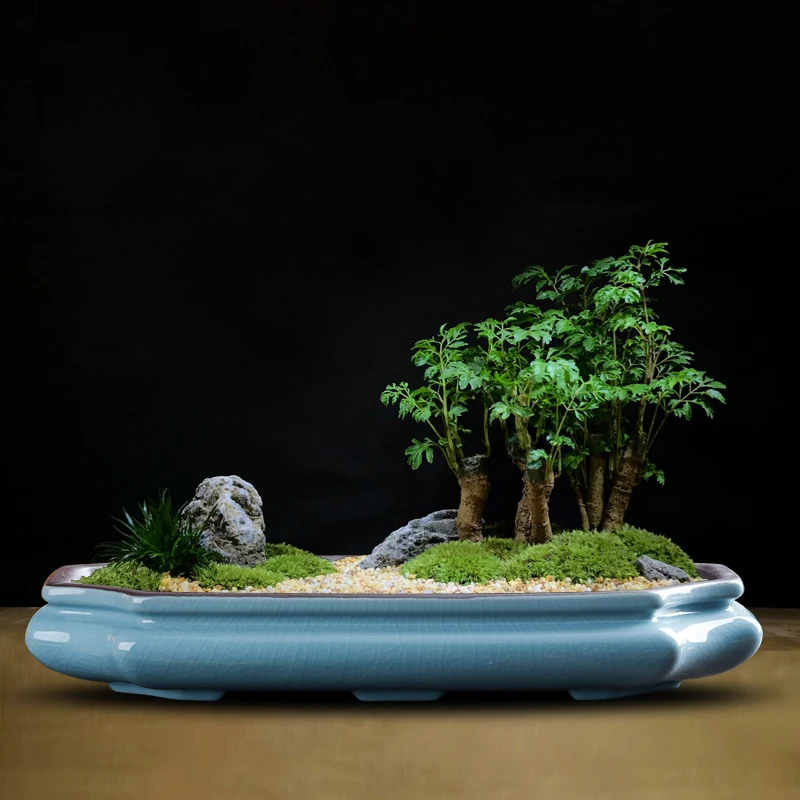 Vaso da fiori in ceramica cinese con sabbia viola Vaso da fiori smaltato di grande diametro da tavolo Vaso da fiori bonsai con paesaggio succulente classico