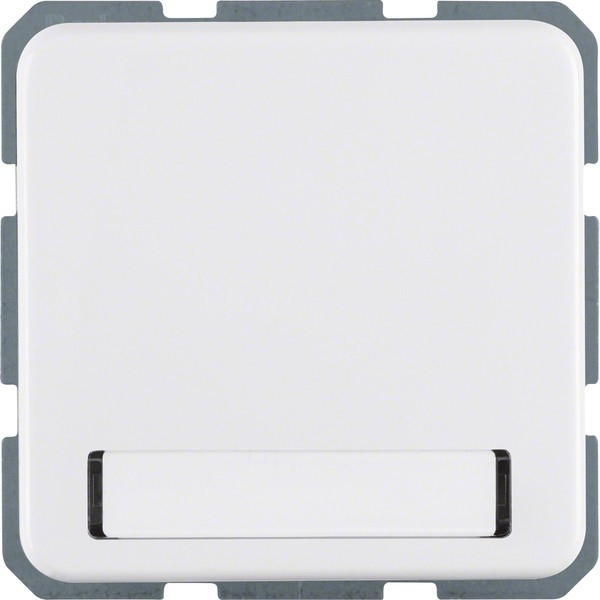 Berker Schuko-Steckd.pws 471909 Image