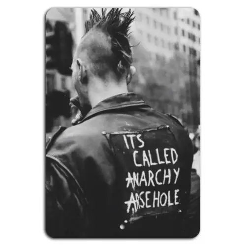Anarchy Anthem: Eine Punk-Rock-Revolution – Aluminium Image