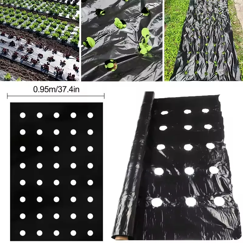 Landwirtschaftliche Schwarze Biologisch Abbaubare Mulchfolie für Gewächshaus-Gemüse, Hohe Feuchtigkeitsrückhaltung, Unkrautprävention, Pflanzen Image