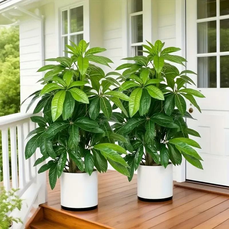82cm Realistic Artificial Money Tree | Large Green Palm Plant For Outdoor Garden, Balcony & Home Decoration 82cm Realistic Artificial Money Tree | Large Green Palm Plant For Outdoor Garden, Balcony & Home Decoration