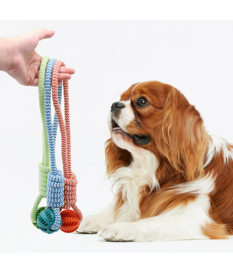 Dental Treat Ball Rope Toy For Dogs Interactive Chew And Teeth Cleaning blue s
