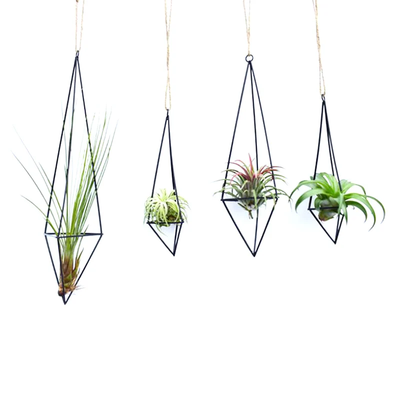 Geometrische Luft Pflanzen halter 3d visuellen Effekt moderne Tillandsia Topf behälter hängen Pflanzer Metall Pflanze Blume Luft Pflanze Rack Image