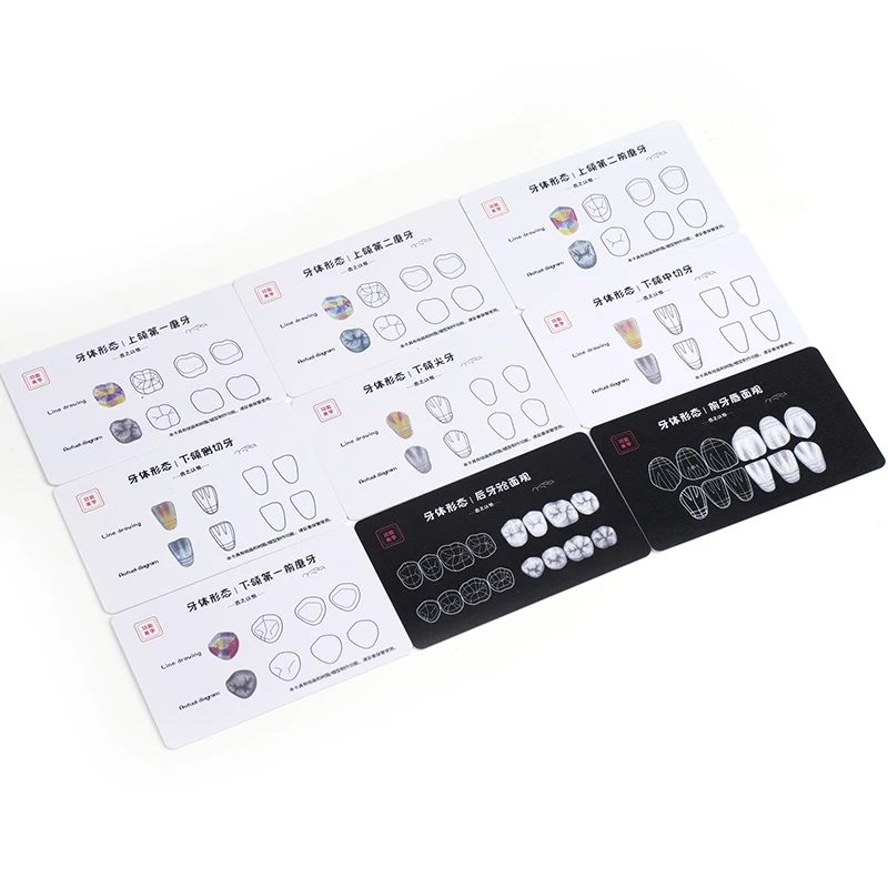 9-teiliges Dental-Komposit-Füllungs-Übungsset: Zahnmorphologie-Board für Zahnärzte – Praxis-Harzstapel für Anterior- und Posteriorbereich Image