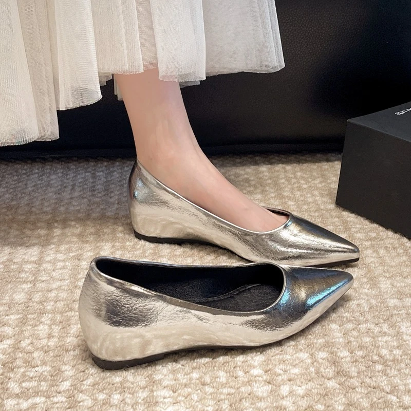 Fashionable low-heeled women's single shoes. Spring/Summer new style. Pointed toe office and commuting comfortable leather shoes