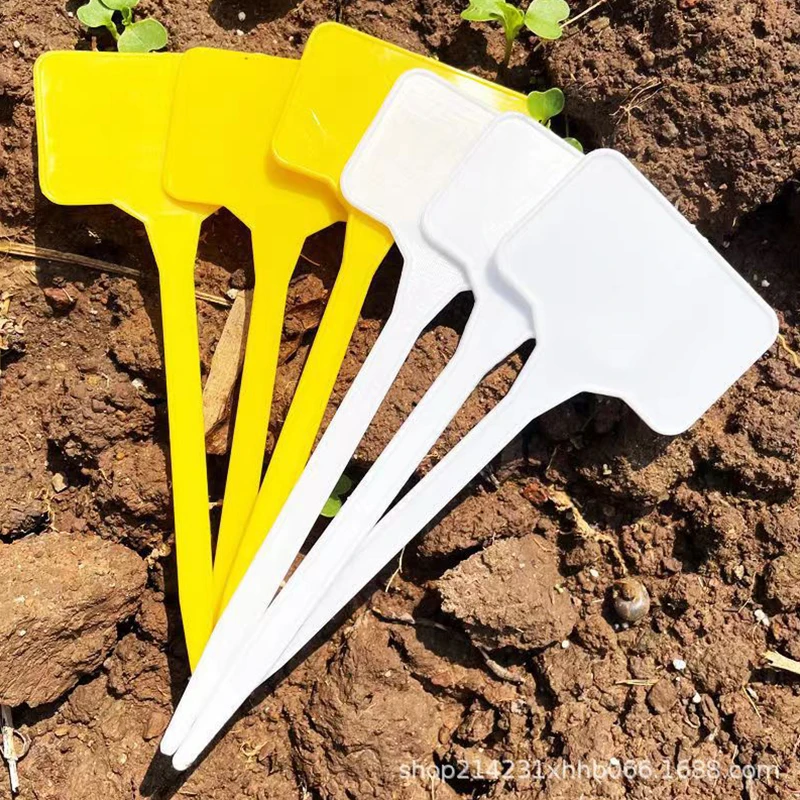 30 Stück Pflanzenanhänger, Gartenbau-Beschilderung, Aufzeichnungstafeln mit Blumen- und Grünpflanzennamen, wasserfeste Kunststoffbeschilderung Image