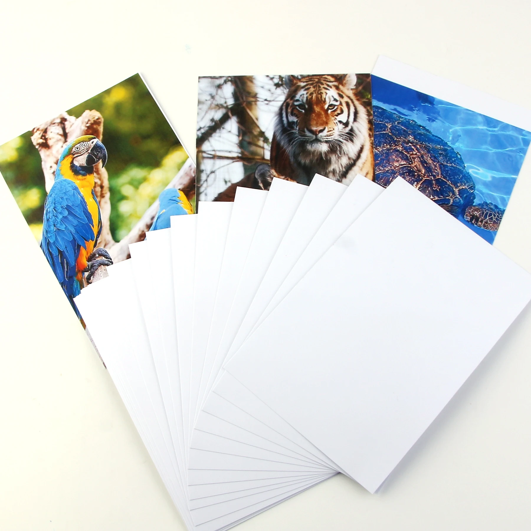 20 Blatt 4 * 6 Zoll Inkjet-Fotopapier 4R glänzende Farbstofftinte Fotopapier sofort trocken, geeignet für Farbstofftinte-Drucker