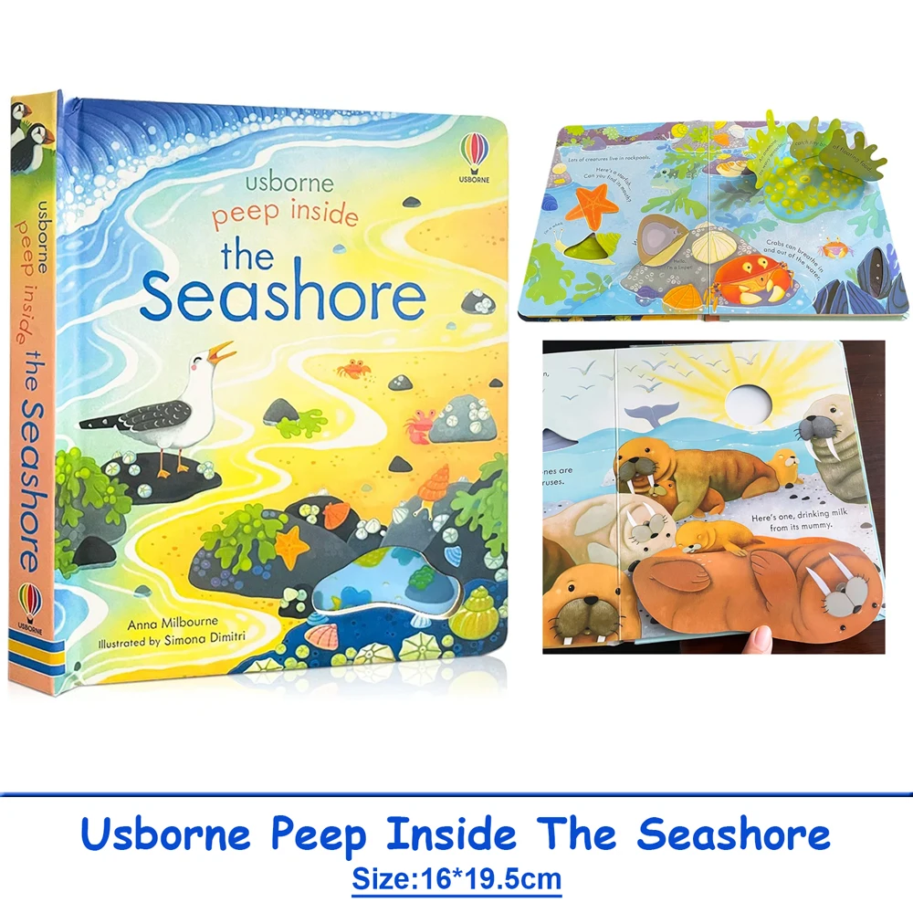 Usborne Peep Inside The Seashore 3D-Bilderbuch mit Klappe, Montessori, pädagogische englische Bücher für Kinder, Babys, Lese- und Schlafenszeit Image