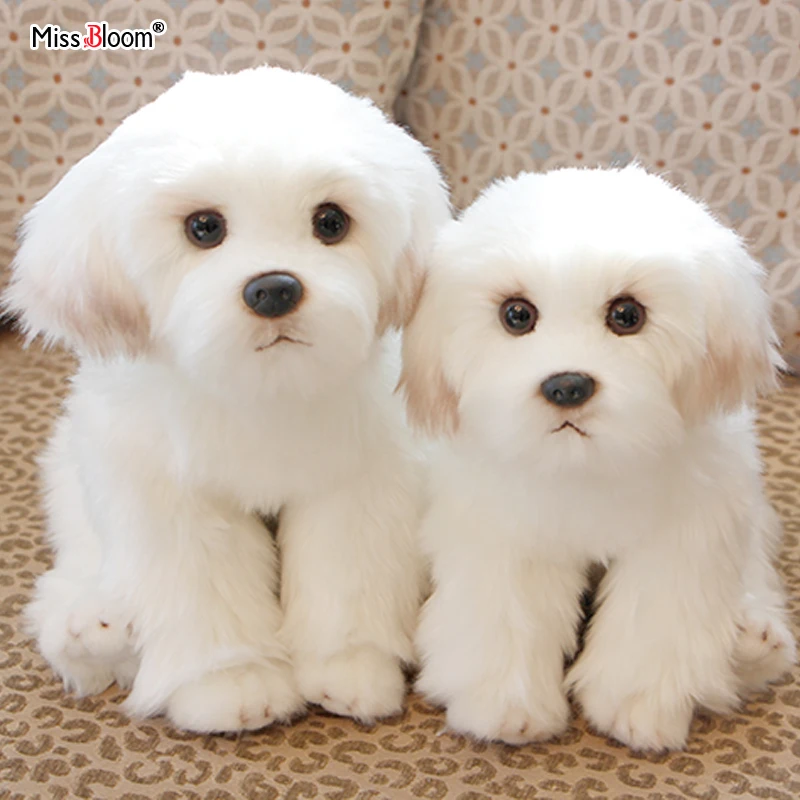 Malteser Gefüllte Hund Puppen Plüsch Spielzeug Nette Simulation Haustiere Flauschigen Baby Geburtstag Geschenke Weihnachten Kinder Malzis Welpen Dropshipping Image