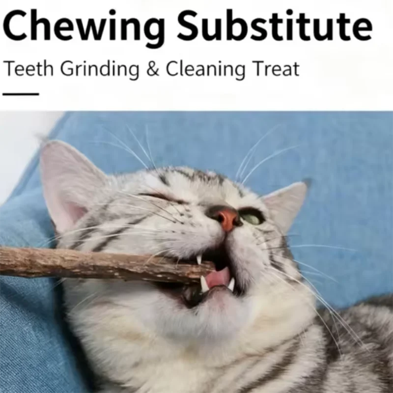 Woodruff Sticks für Katzen, natürliche Katzenminze, Kausticks, Zähne, Backenzahn, Kauspielzeug für Katzen, Kätzchen, Geschenke Image