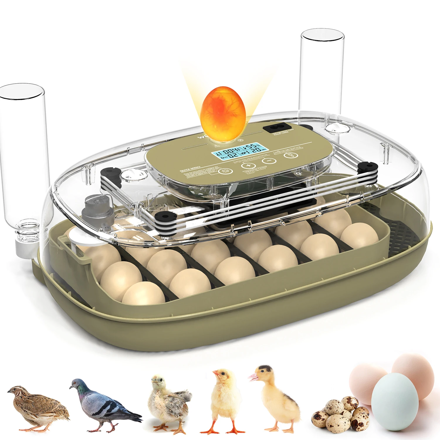 24-Eier-Inkubator zum Ausbrüten von Eiern, Temperatur- und Luftfeuchtigkeitsanzeige, 360° ° Anzeige der automatischen Wasserzusatzung, Eierkerzen-Ei-Dreh-Countdown Ha Image