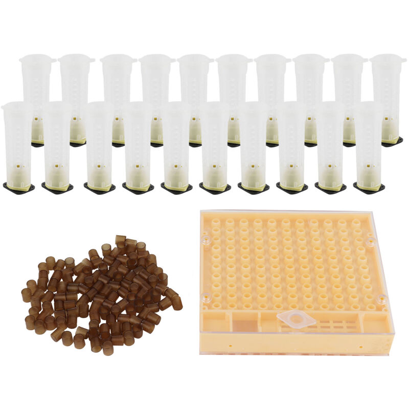 Kit Di Celle Di Allevamento Per Api Regine, Gabbia Di Plastica, Kit Di Tazze Per Celle Di Allevamento, Forniture Per Apicoltura