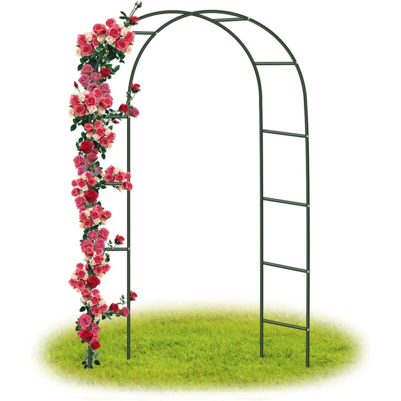 Rapanda - Arco Da Giardino/arco Per Matrimoni Supporto Per Arco Per Rose Colonna Da Giardino, Arco Da Giardino In Metallo Piante Rampicanti Metallo 240 X 140 X 38 Cm/verde